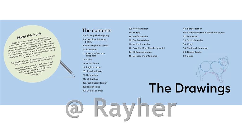 Knjiga Draw 30: Dogs