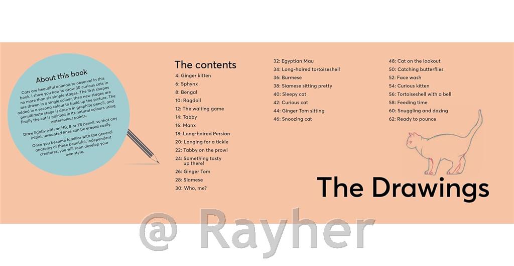 Knjiga Draw 30: Cats