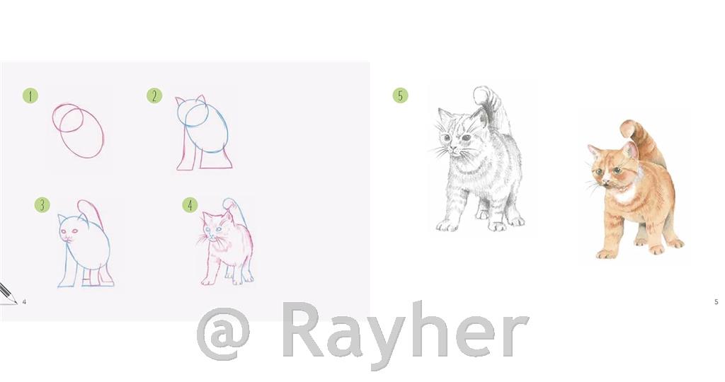 Knjiga Draw 30: Cats