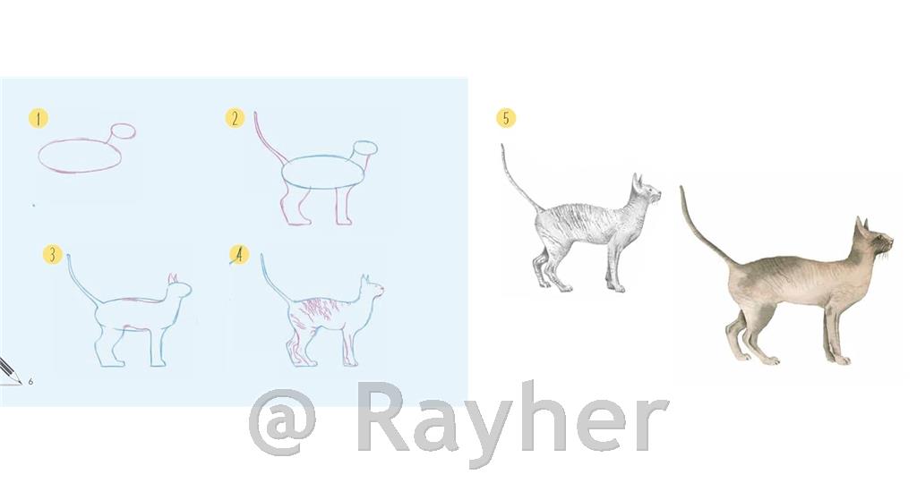 Knjiga Draw 30: Cats