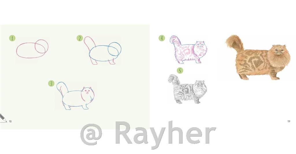 Knjiga Draw 30: Cats