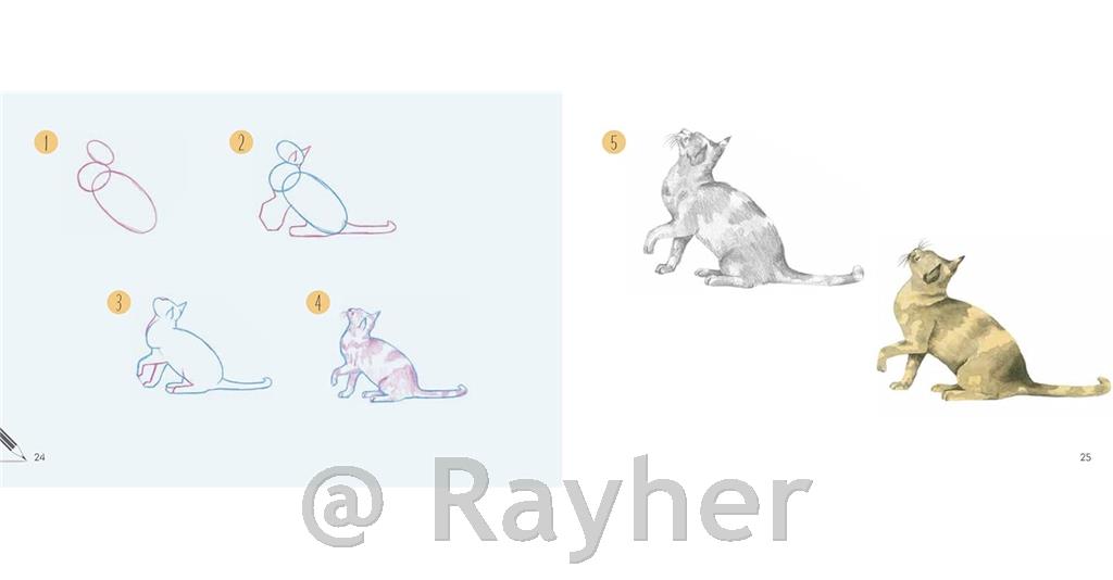 Knjiga Draw 30: Cats