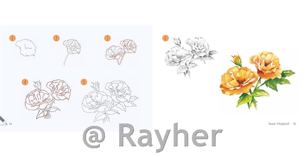 Knjiga Draw 30: Flowers