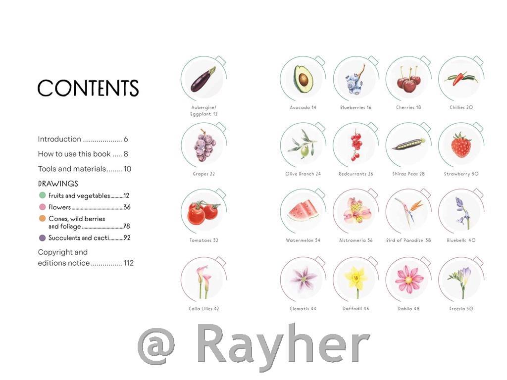 Knjiga Draw in 10 Minutes: Botanicals