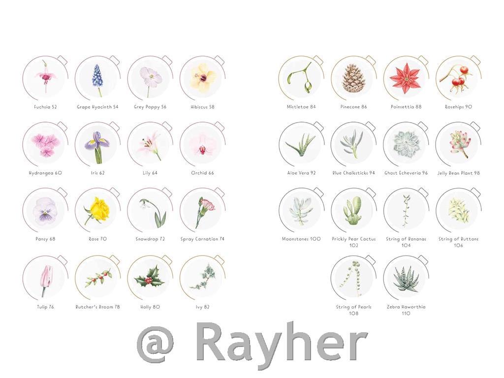 Knjiga Draw in 10 Minutes: Botanicals