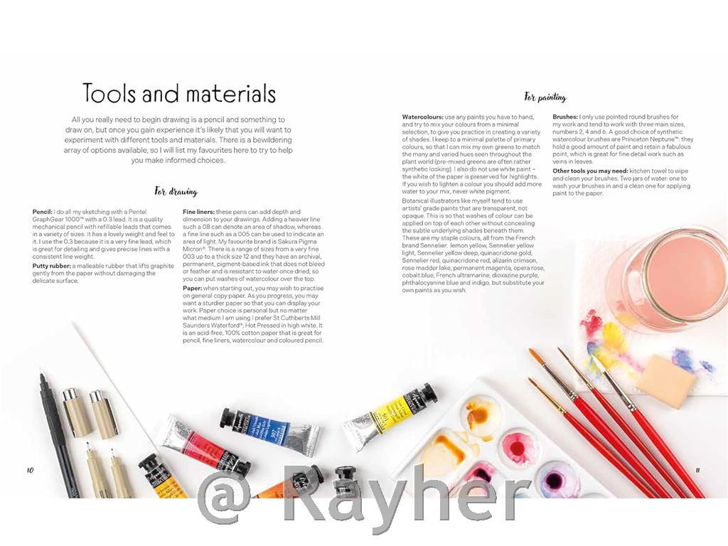 Knjiga Draw in 10 Minutes: Botanicals