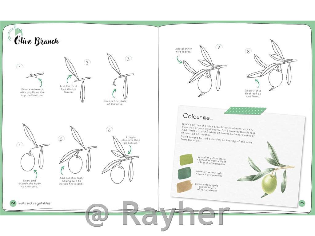 Knjiga Draw in 10 Minutes: Botanicals