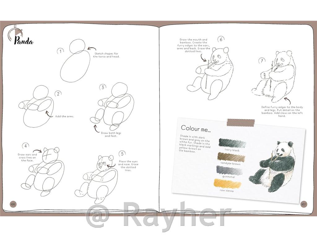 Knjiga Draw in 10 Minutes: Animals