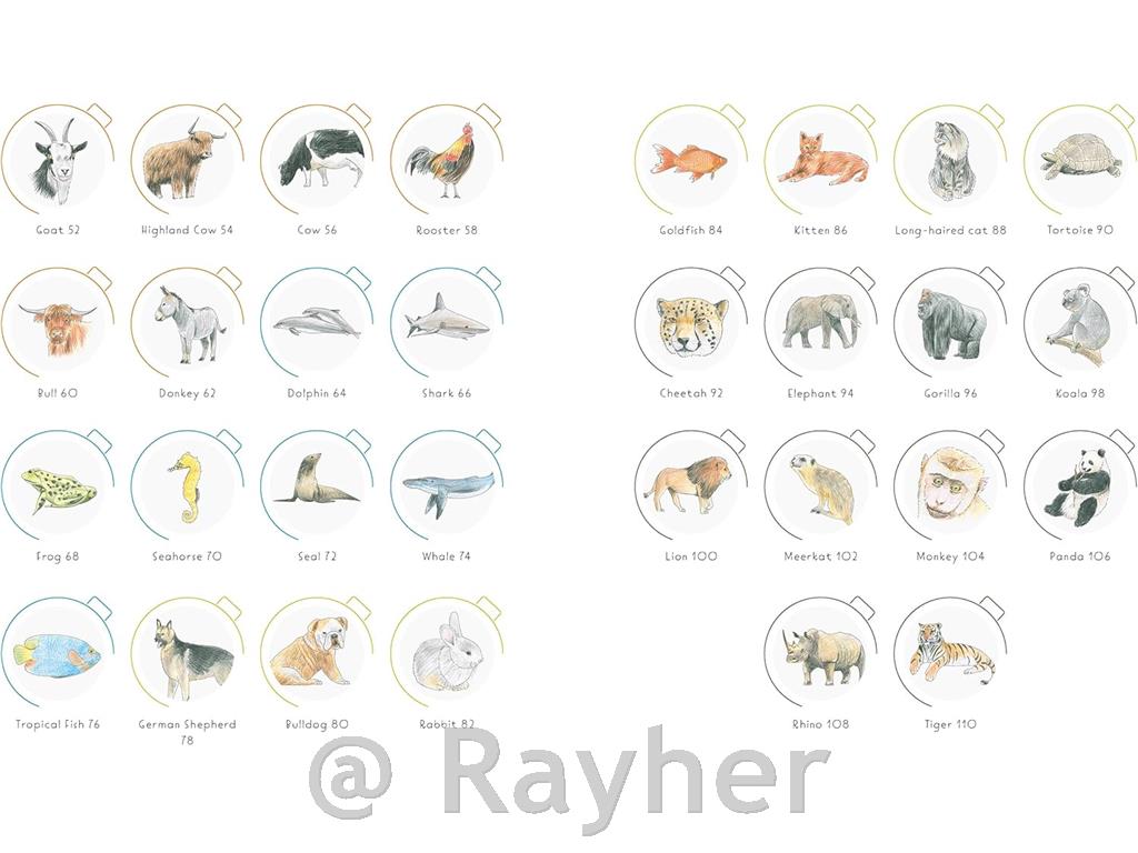 Knjiga Draw in 10 Minutes: Animals