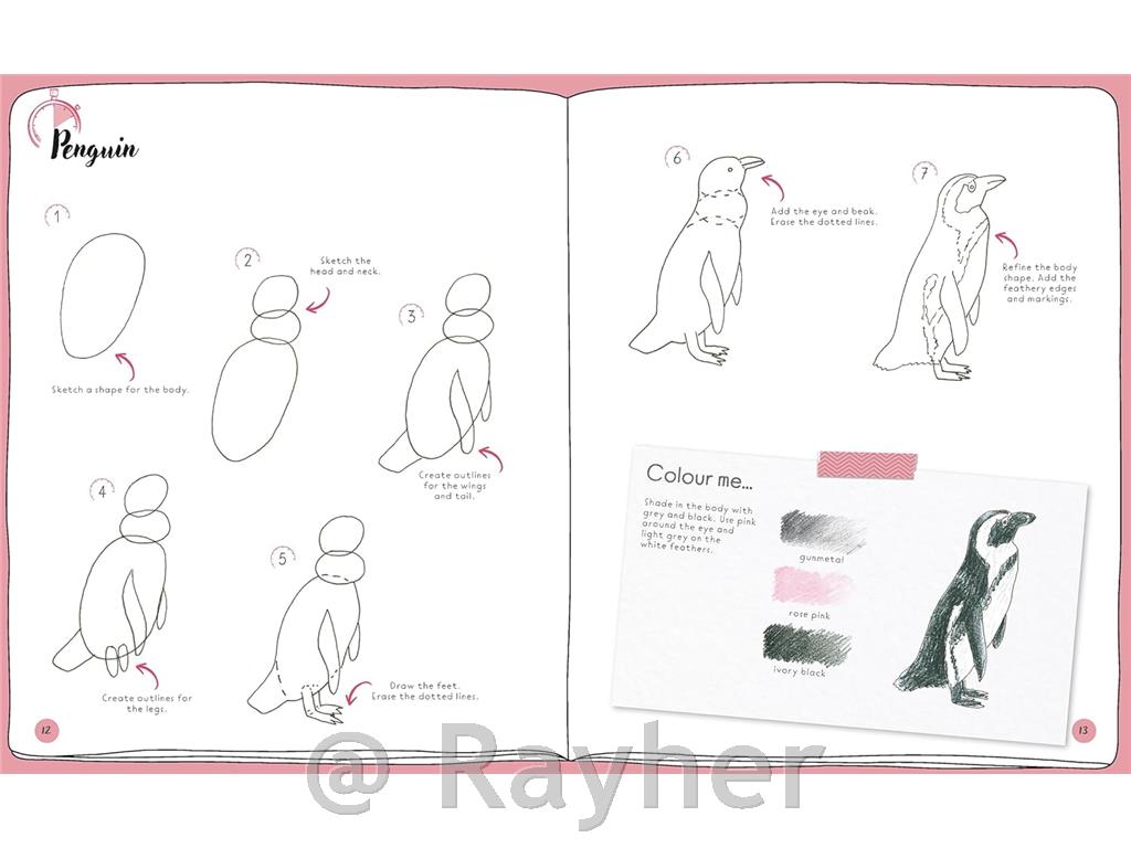 Knjiga Draw in 10 Minutes: Animals