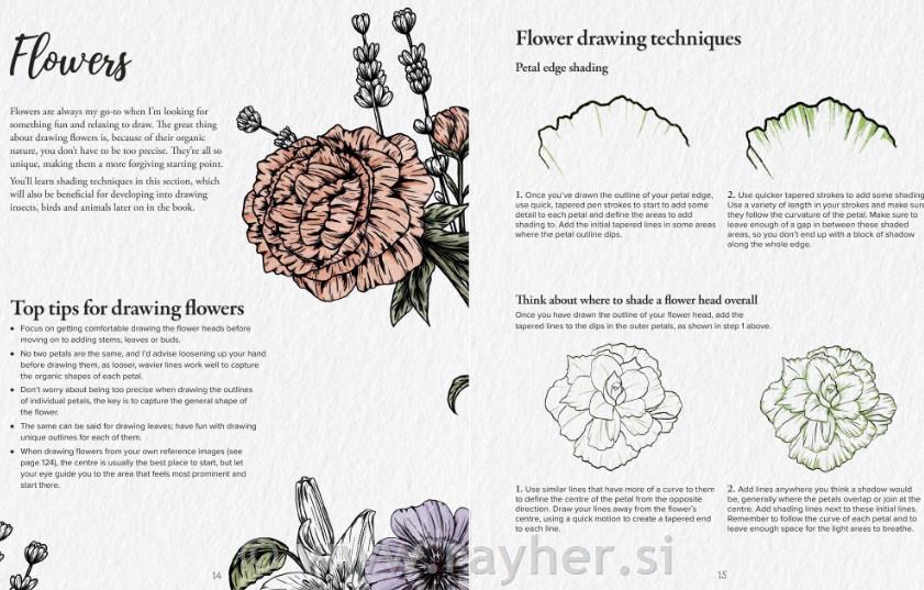 Knjiga Book of Drawing Flora and Fauna