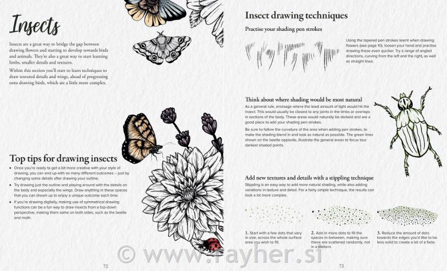 Knjiga Book of Drawing Flora and Fauna