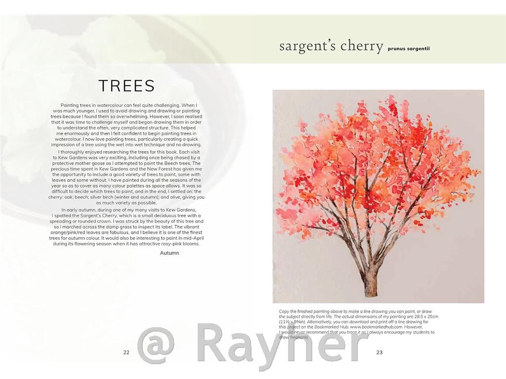 Knjiga The Colour Mixing Guide:Watercolour Woodland