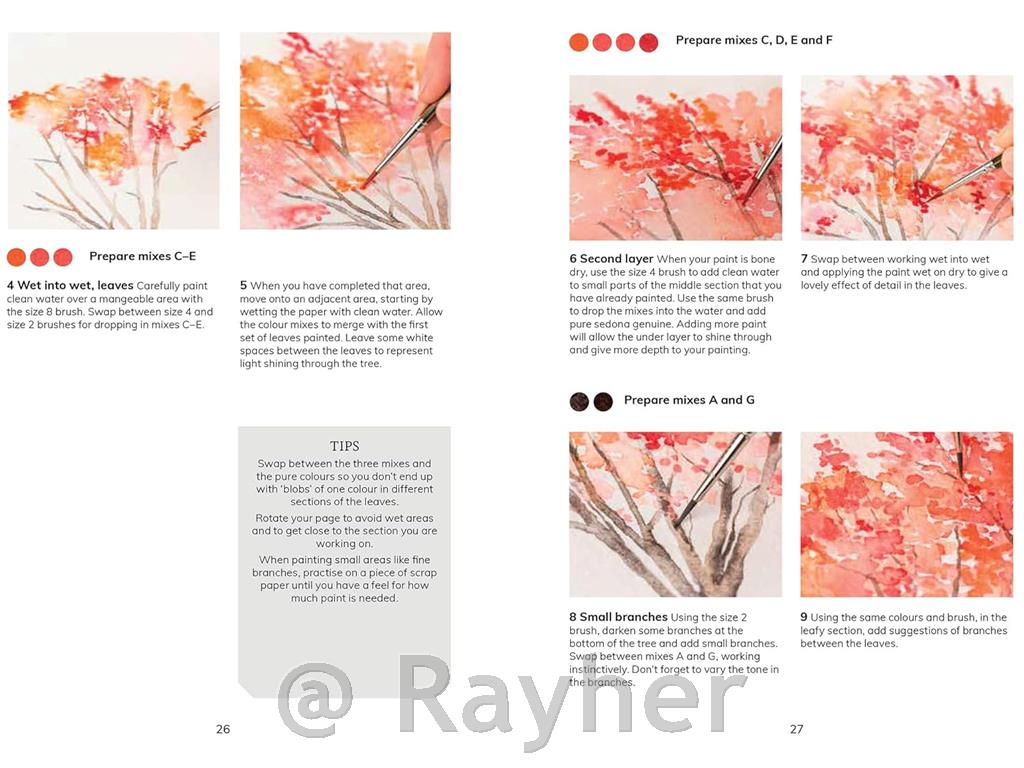 Knjiga The Colour Mixing Guide:Watercolour Woodland