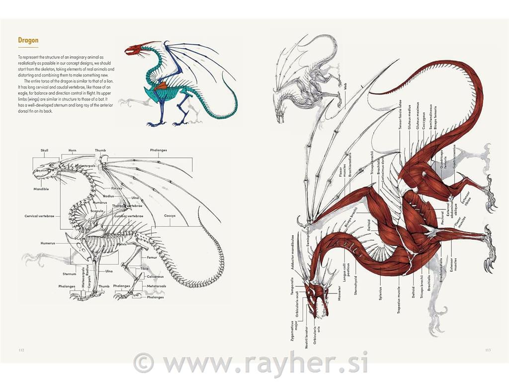 Knjiga The Art of Fantasy