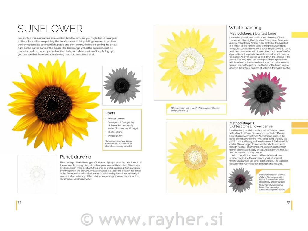 Knjiga Watercolour World