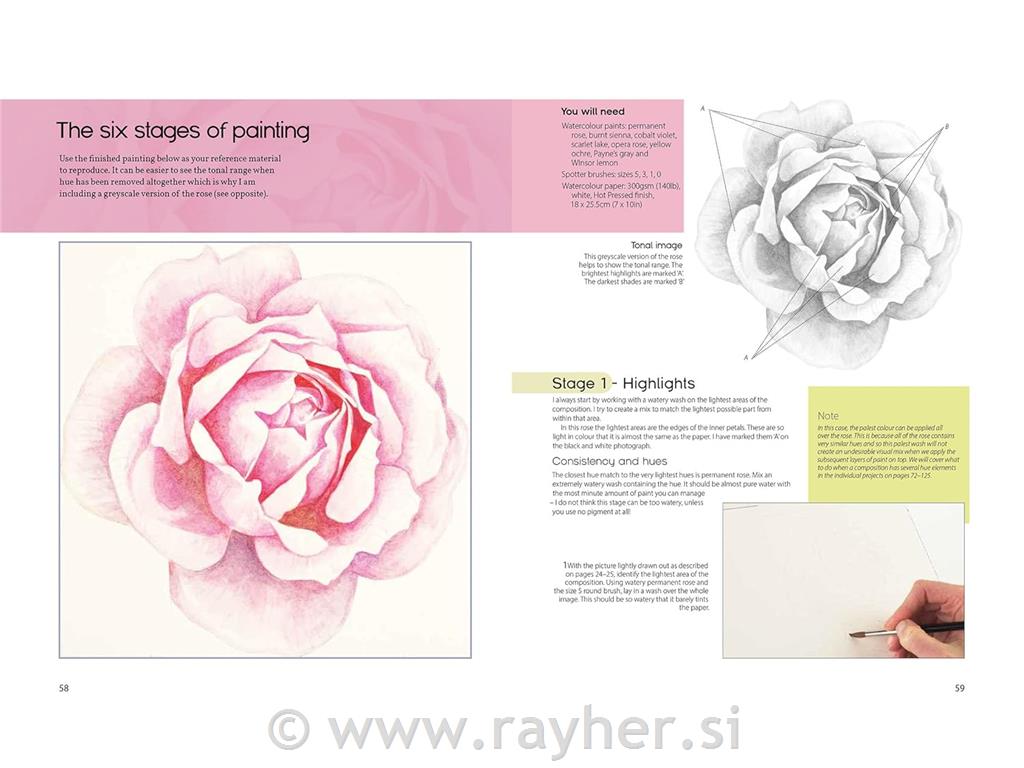 Knjiga The Modern Flower Painter