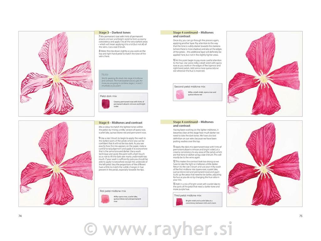 Knjiga The Modern Flower Painter