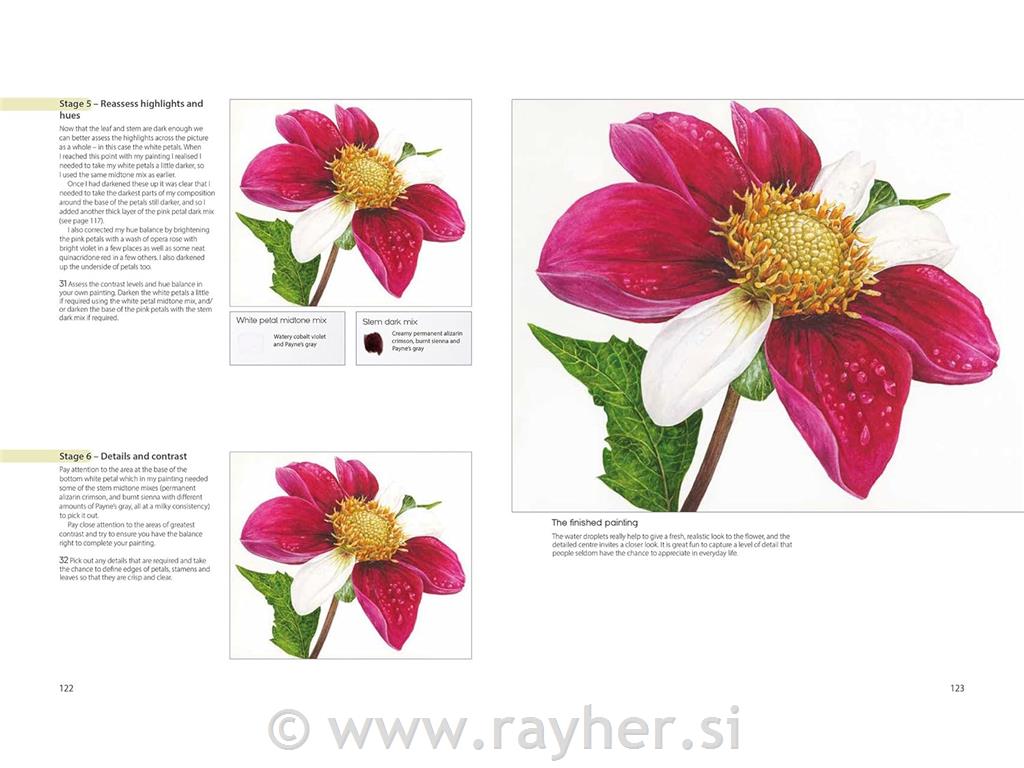 Knjiga The Modern Flower Painter