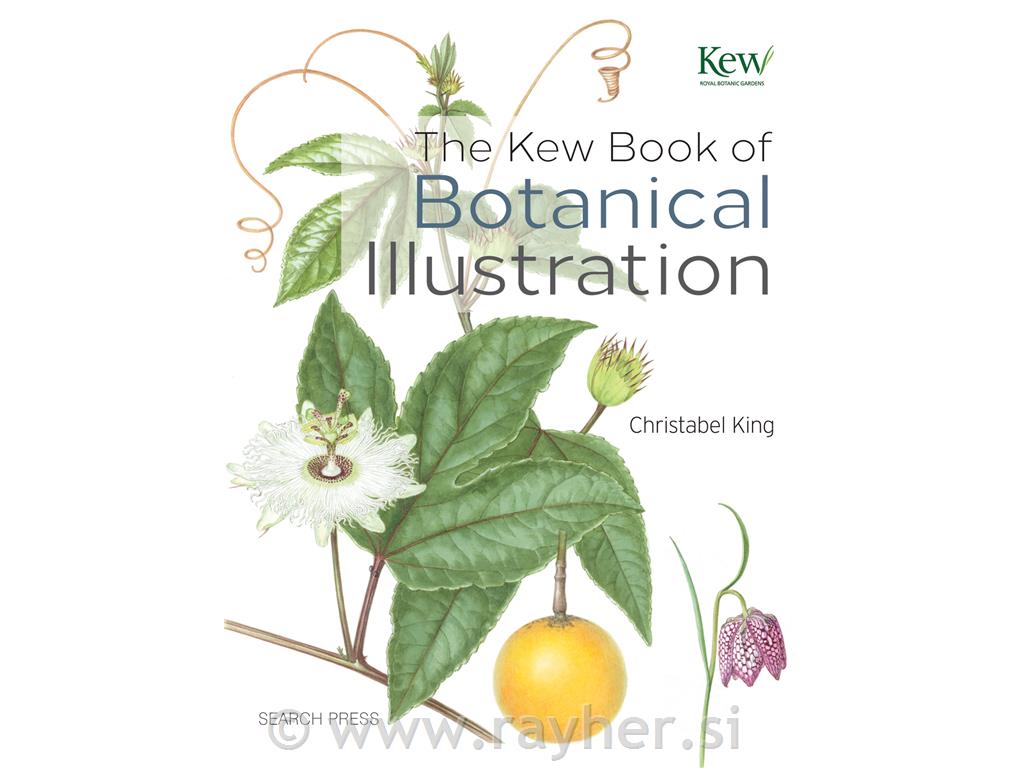 KNJIGA BOTANICAL ILLUSTRATION