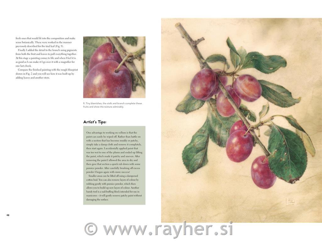 KNJIGA BOTANICAL PAINTING