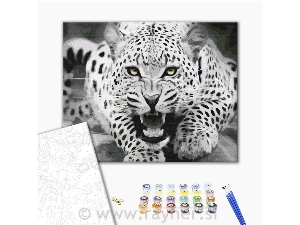 Slikanje po brojevima Leopard
