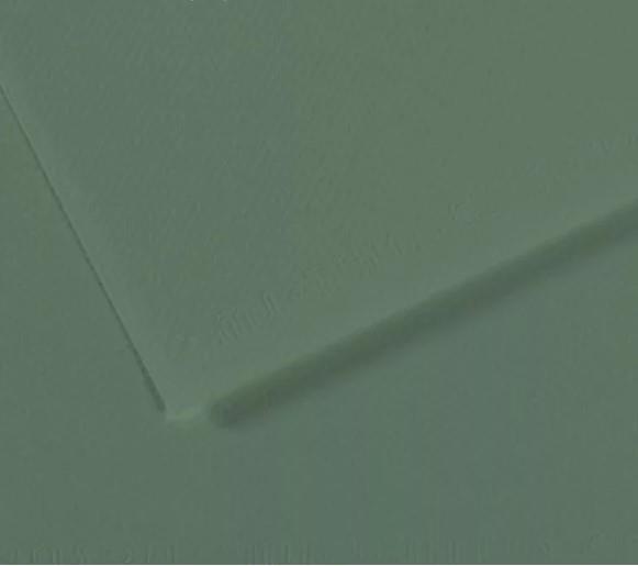Papir Canson Mi-Teintes 50x65 cm 160g/m; 190 Sage Green