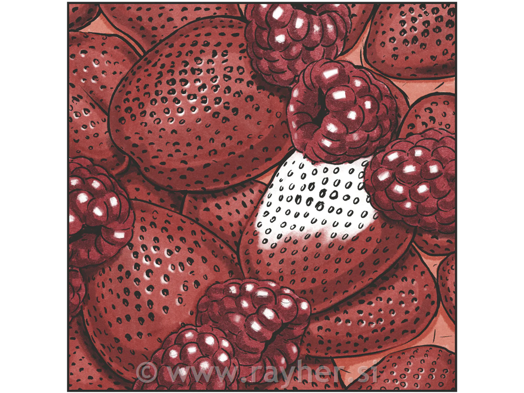 Flomasteri Spectrum Noir Fiery Reds,set 6