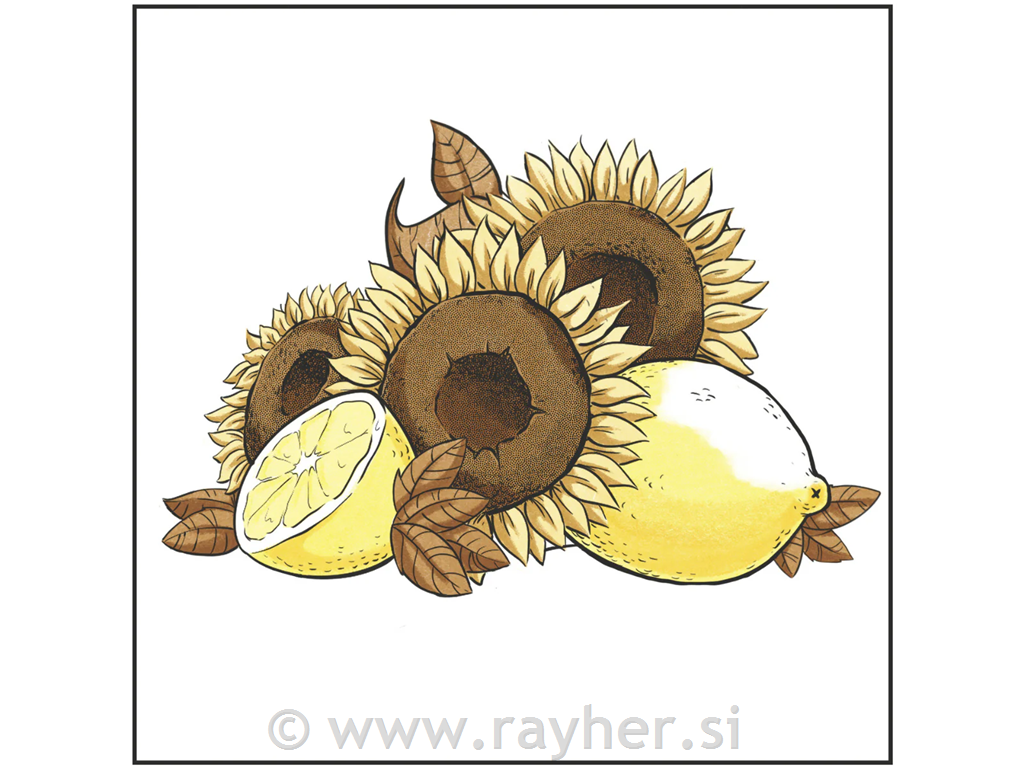 Flomasteri Spectrum Noir Sunny Yellows, set 6