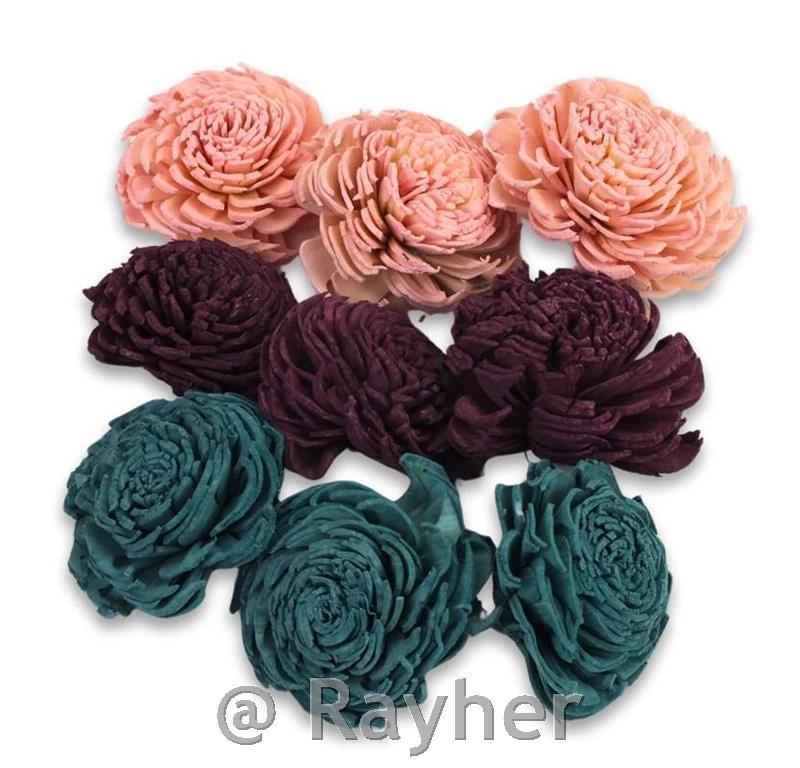 Dekorativni cvetovi, naravni, set 6