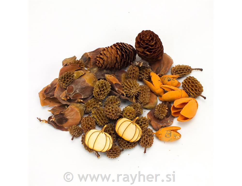 Paket jesenskih ukrasa