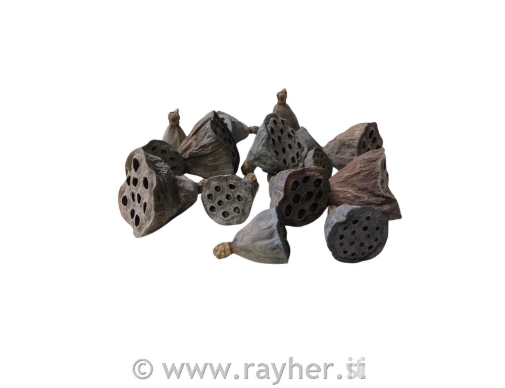 Sušeni dekor, Lotos, set 10