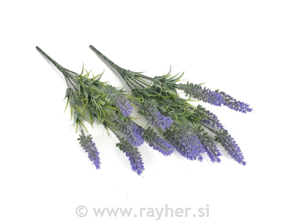 Lavanda, 34cm