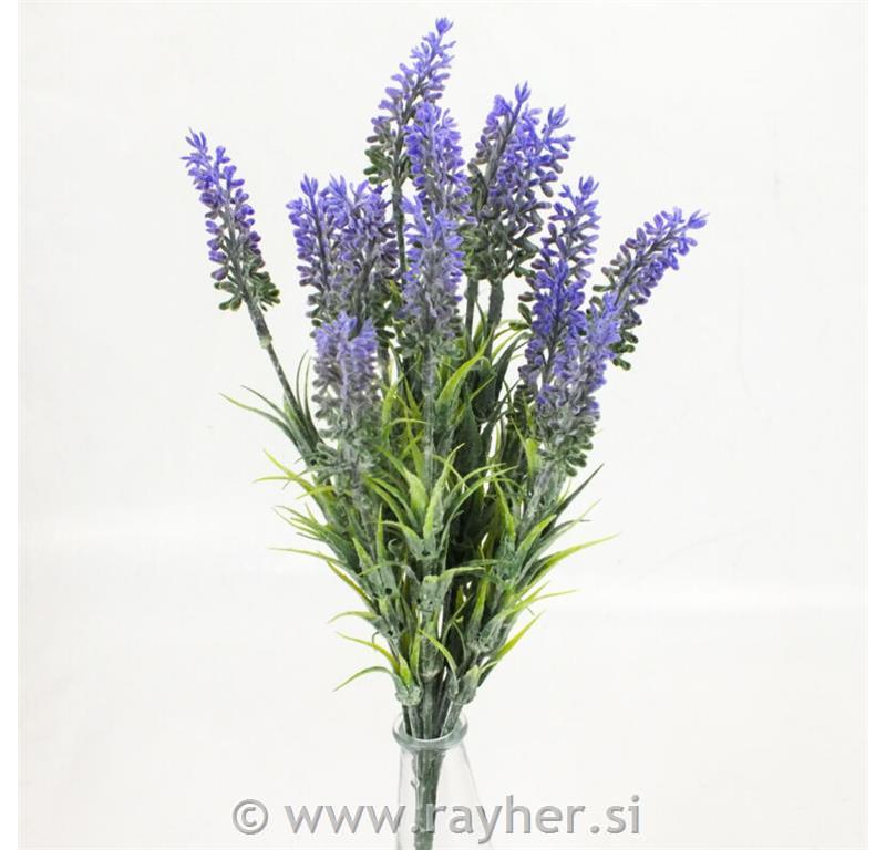 Lavanda, 34cm