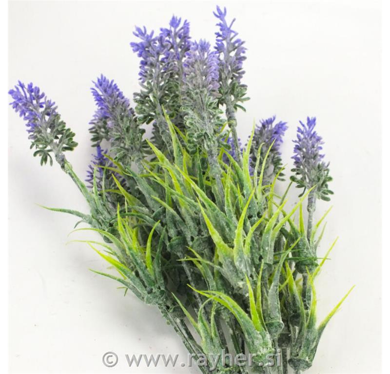 Lavanda, 34cm