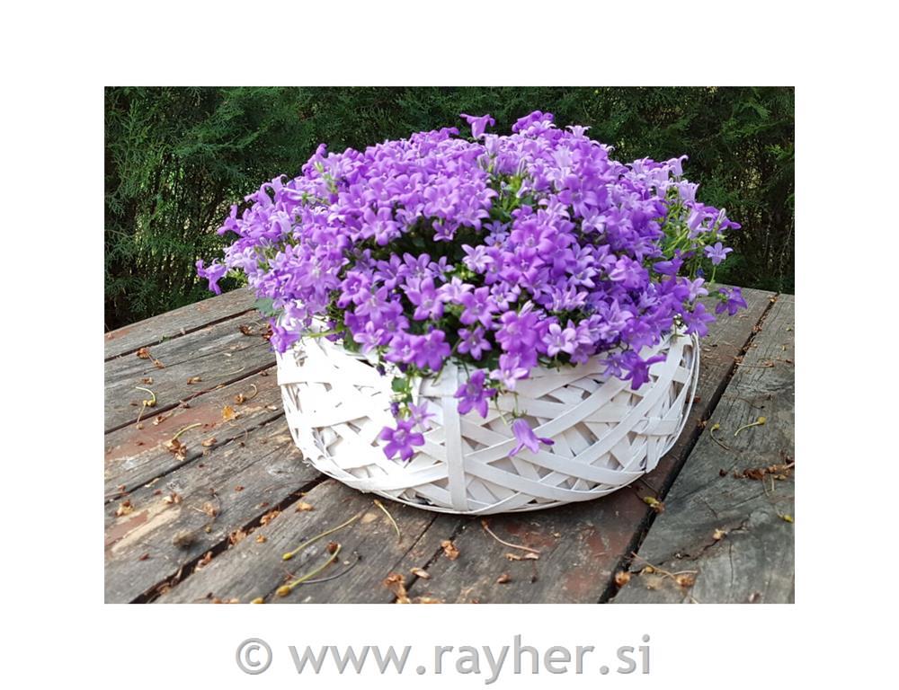 Košarica bela, 25cm