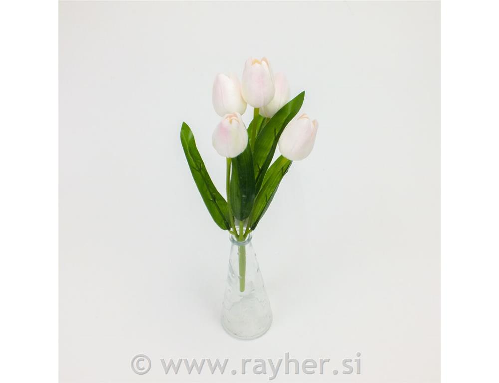 Buket tulipana, 5 cvjetova, 30 cm, sv.ro