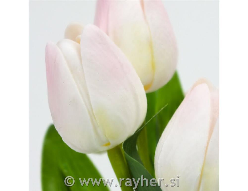 Buket tulipana, 5 cvjetova, 30 cm, sv.ro