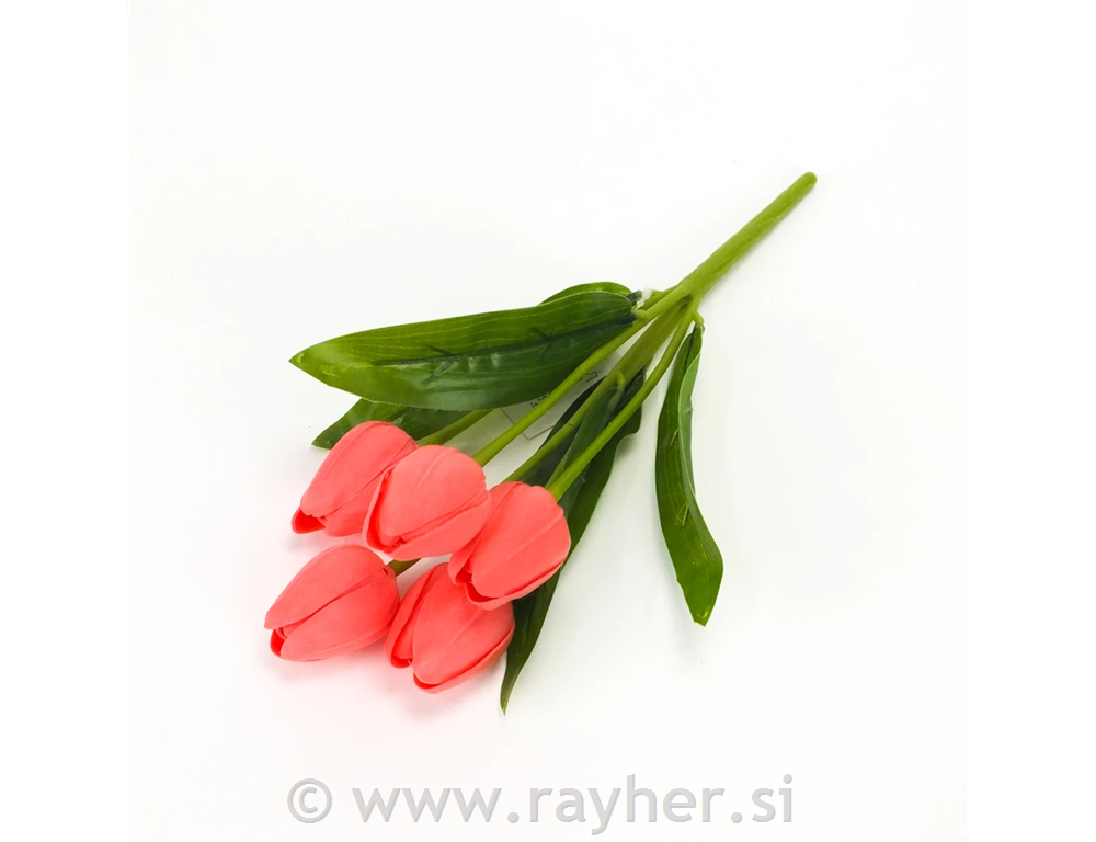 Buket tulipana, 5 cvjetova, 30cm, losos