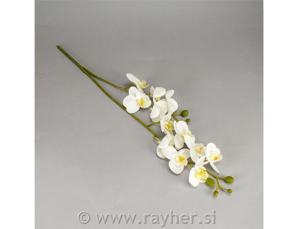 Orhideja, 60cm, bijela