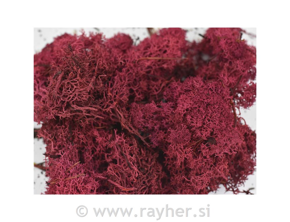 Mah, 35g, bordo rdeč