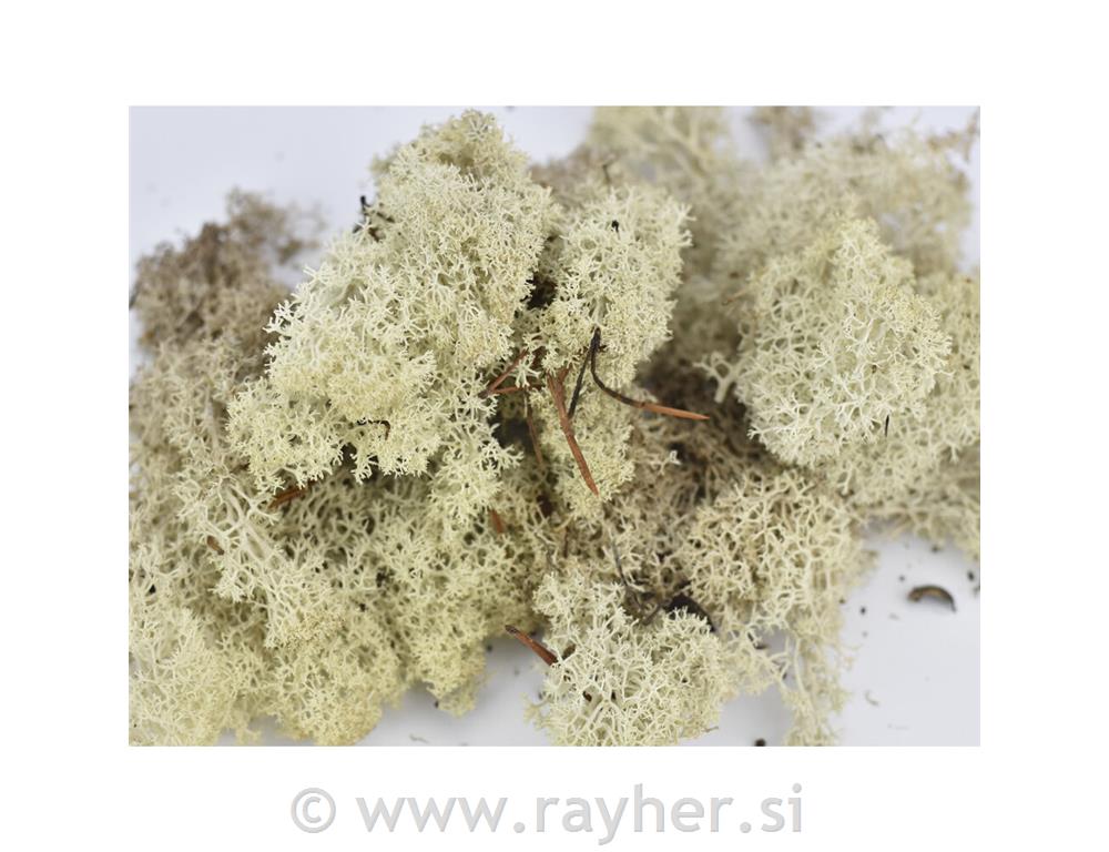 Mahovina, 35g, siv