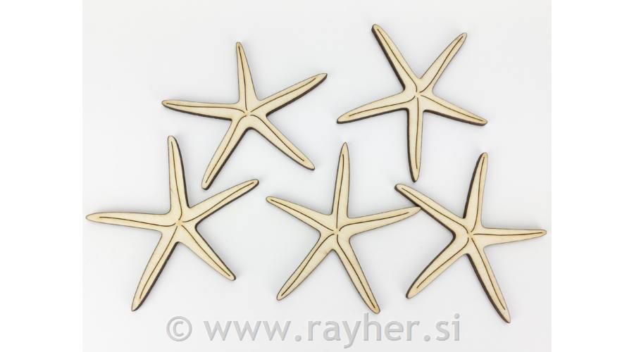 Morska zvijezda, set 5, 8 cm