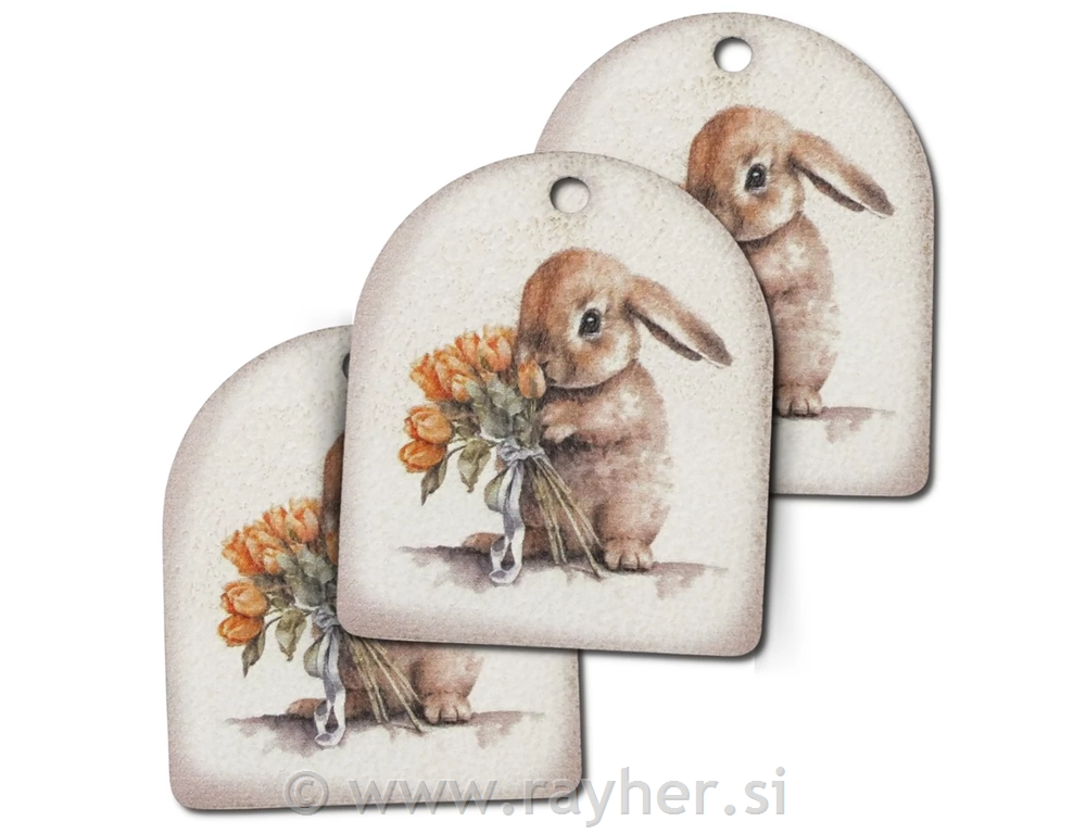 Drveni ukrasi, Zec tag, set 3