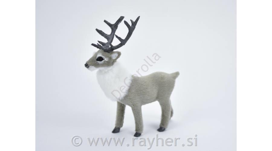 Jelen siv, 13cm