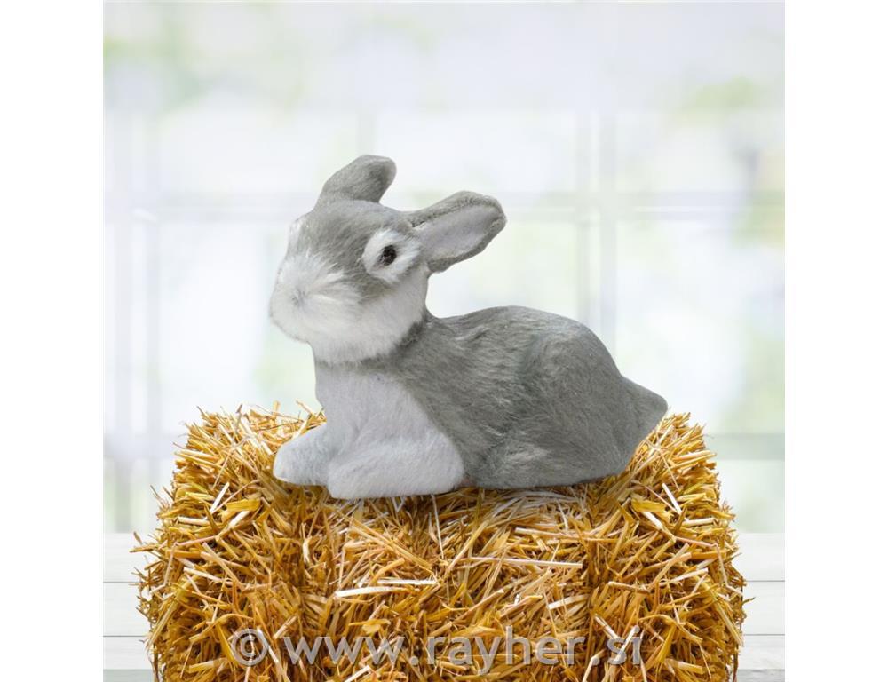 Zac siv, 6cm, premium kvalitet