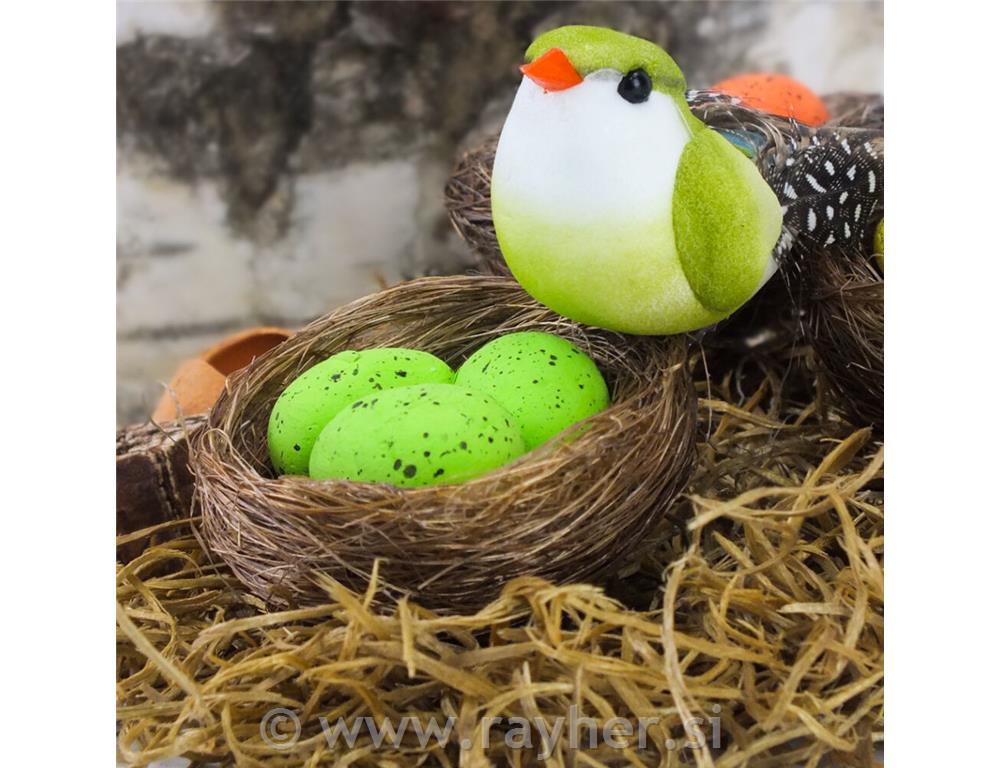 Gnijezda s jajima, set 3