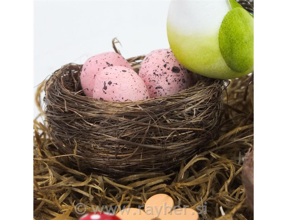 Gnijezda s jajima, set 3