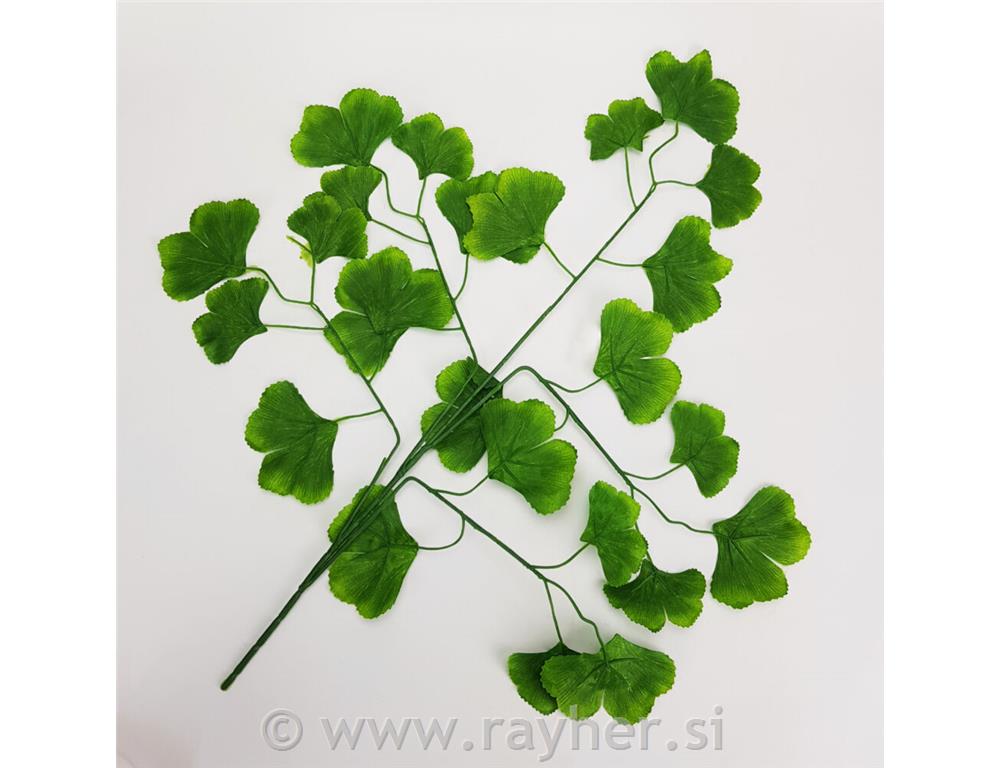 Ginko 60x50cm