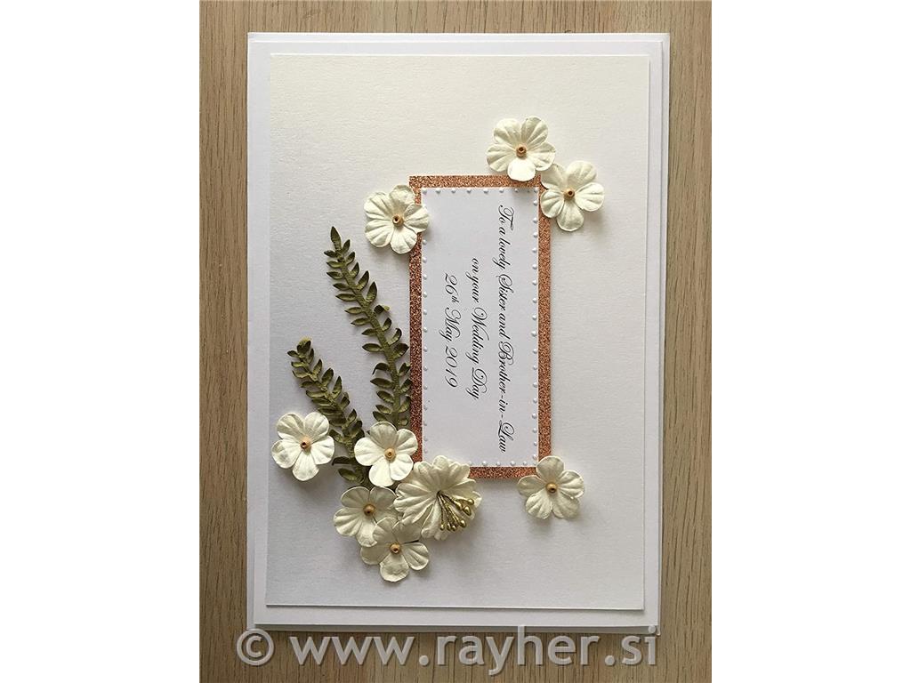 OMOTNICE + ČESTITKE, SET 50, 12.7 X 17.8CM, BIJELE BOJE